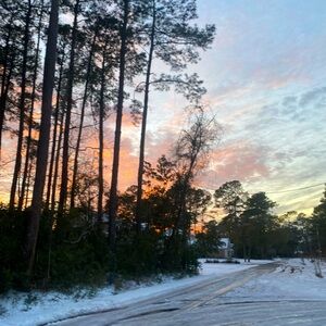 Meet your Posher, Rosie